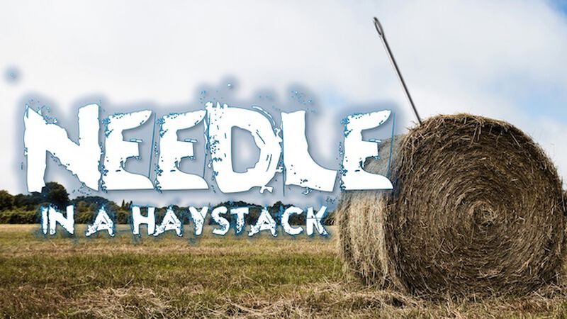 Needle in a Haystack